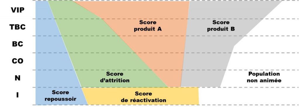 datacadabra score segmentation
