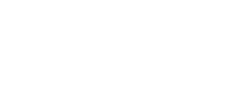 fashion data