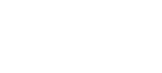 rapid flyer